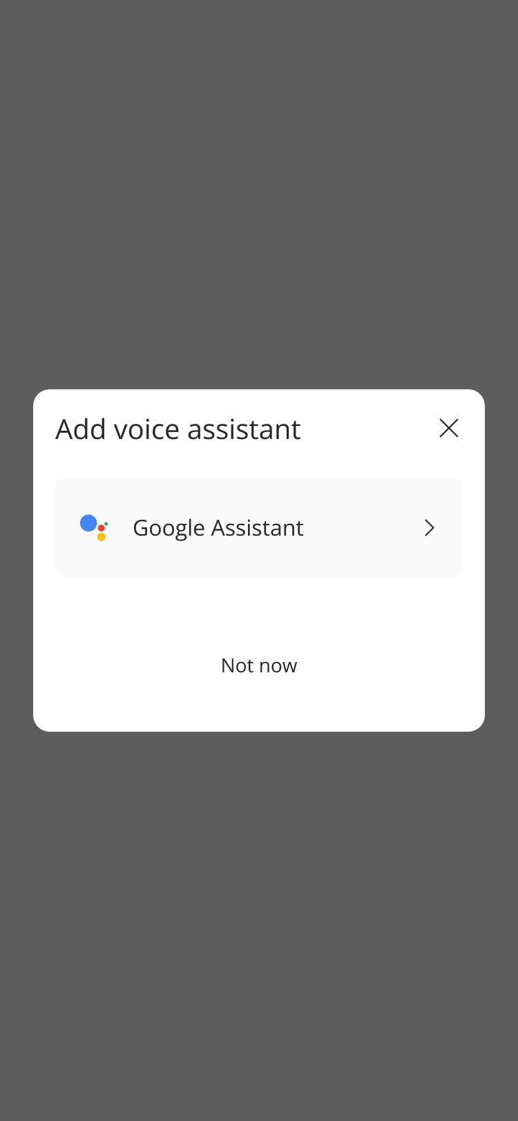 Google_Assistant_Modal.png